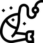 Pêche aux madaï